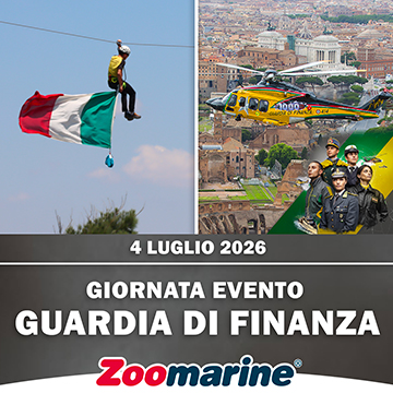 GUARDIA DI FINANZA A ZOOMARINE